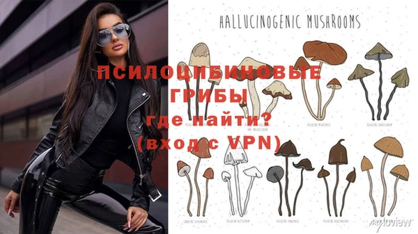 винт Заволжск