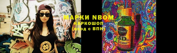 амф Заволжье